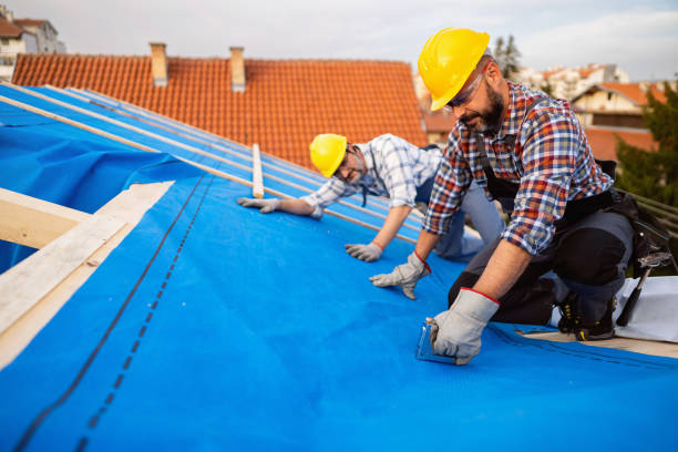 Best Roof Gutter Cleaning  in Leisure Village, NJ